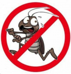 Дезинсекция и дератизация мест общего пользования